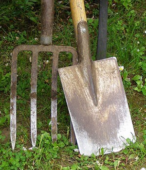 fork and spade used for gardening in allotments