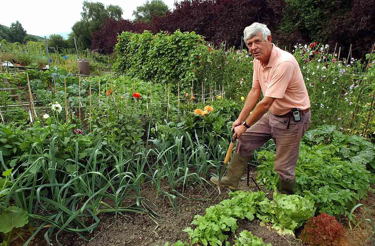 Terry Walton using a pitchfork in an allotment