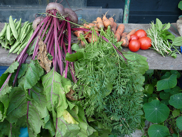 allotment produce.jpg