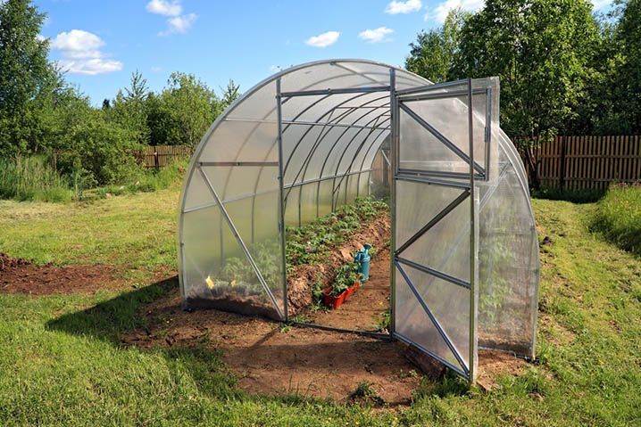 greenhouse in allotment