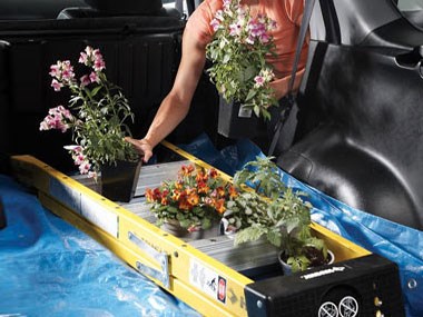 Transporting Plants