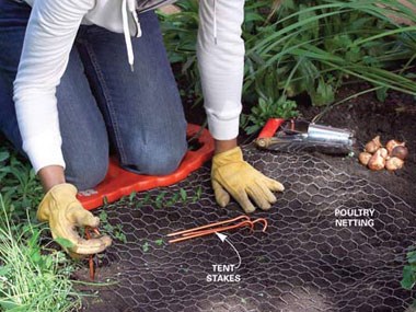 Poultry Netting for Gardens