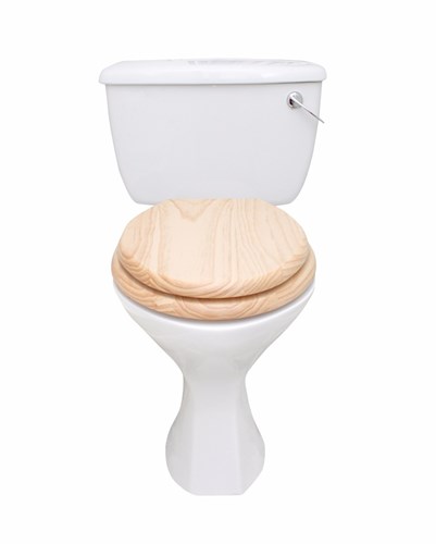 Upgrading Bathroom - Toilet