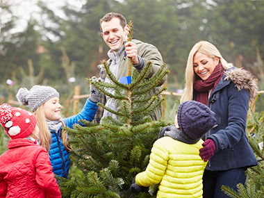 family picking out christmas tree from field