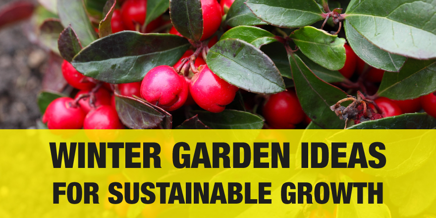 Winter Garden Ideas For Sustainable Growth