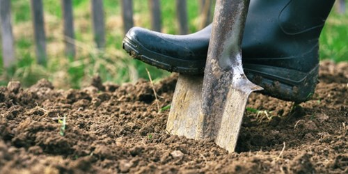 Boot on shovel digging up soil for disposal