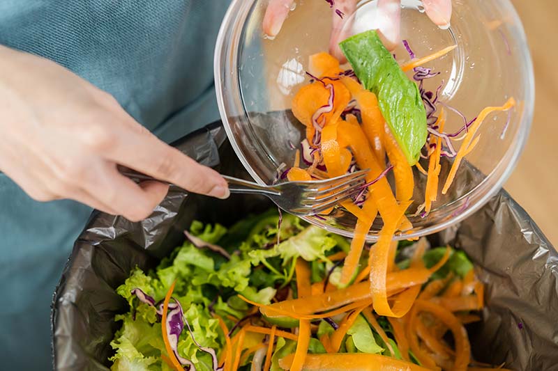 food-waste-scrapped-in-bin.jpg