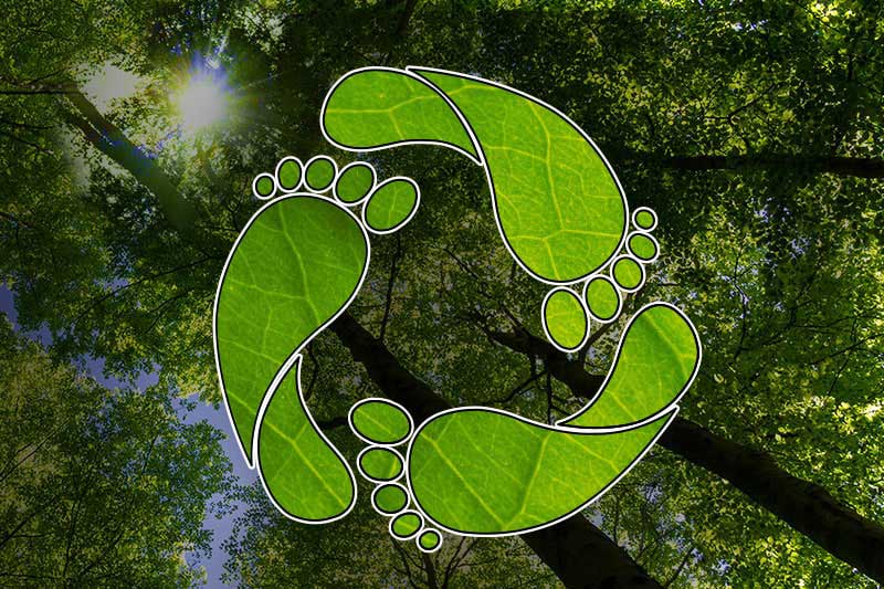 HIPPO sustainablity logo and image