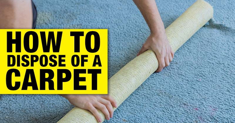 Person rolling up carpet with blog title text overlay: How to dispose of a carpet