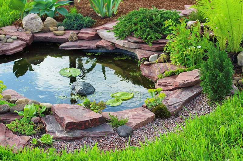 A landscaped garden pond with rocks
