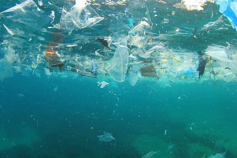 Plastic waste pollution floating in the sea