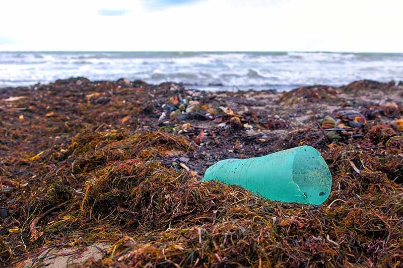 A plastic waste bottle on a beach