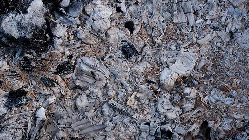 Grey ash and debris leftover from a bonfire