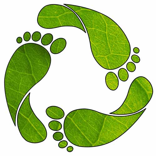 carbon-offset-icon.jpg