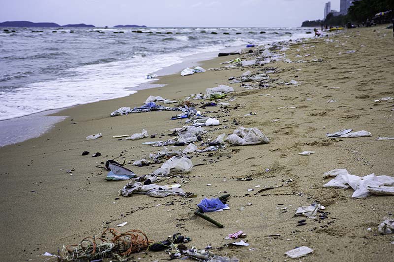 Plastic debris and litter along the tide line on a beach