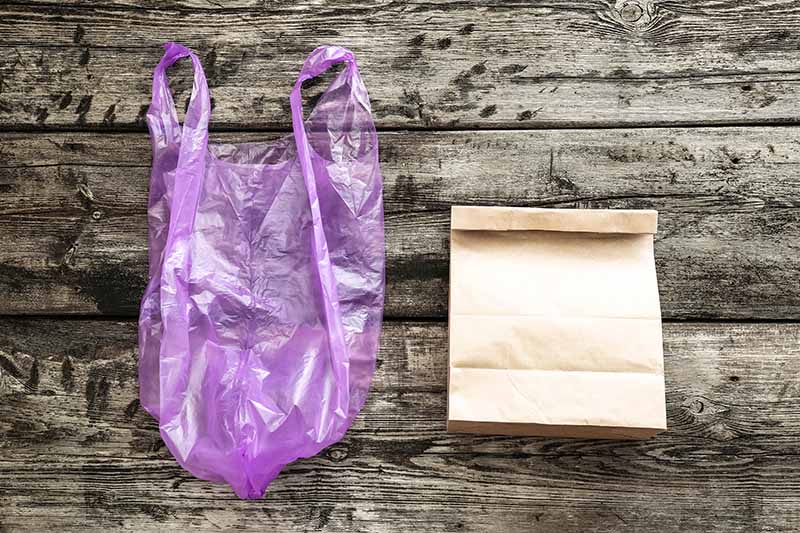 A single use plastic bag and a paper bag on a wood background