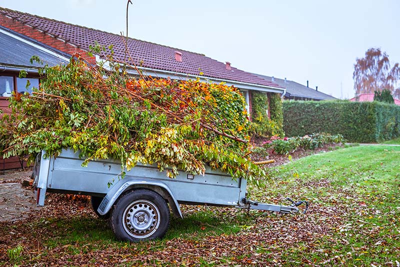 Garden waste loaded into a trailer