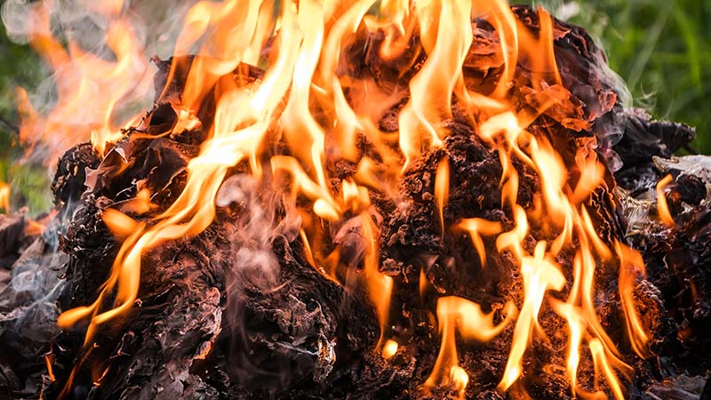 Burning garbage in a garden